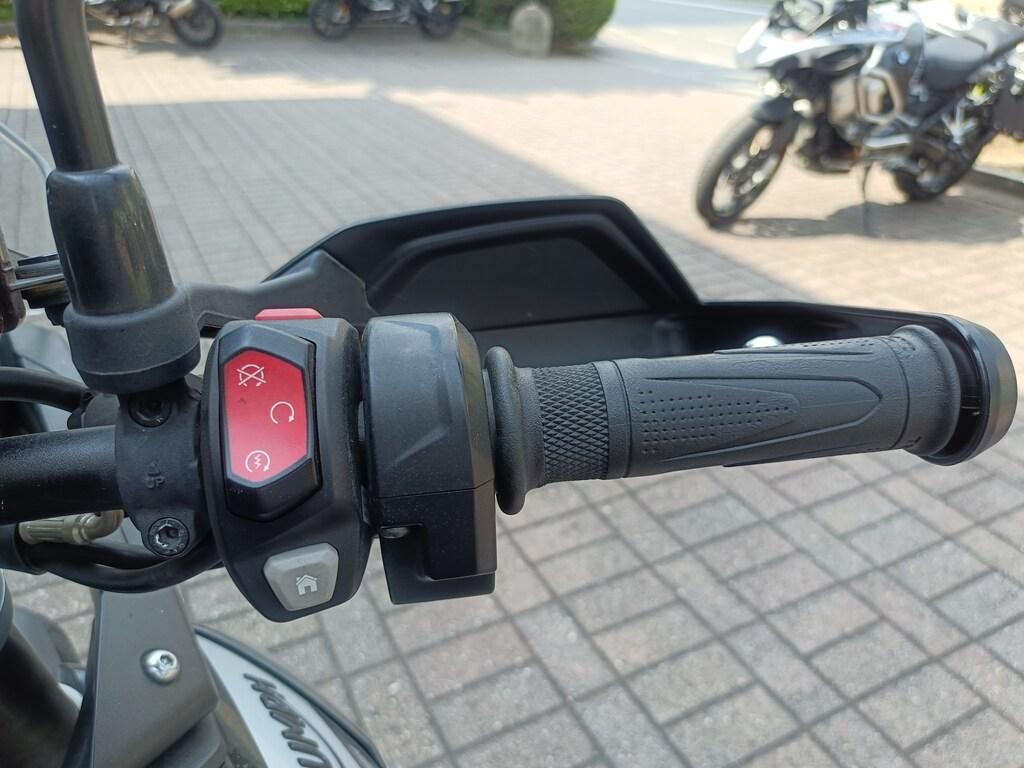 TIGER 900