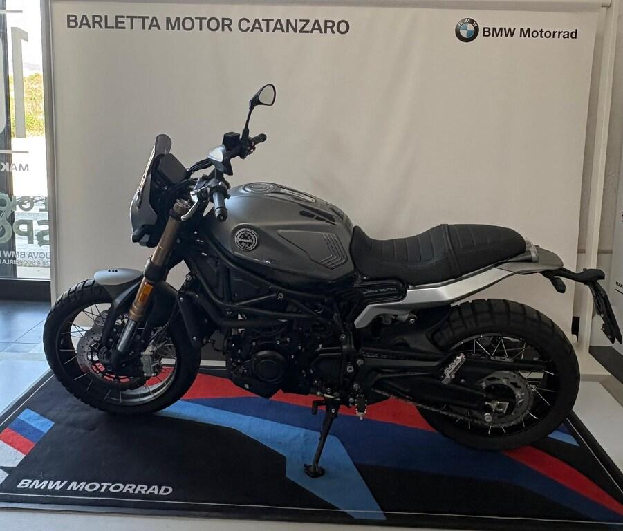 LEONCINO 500