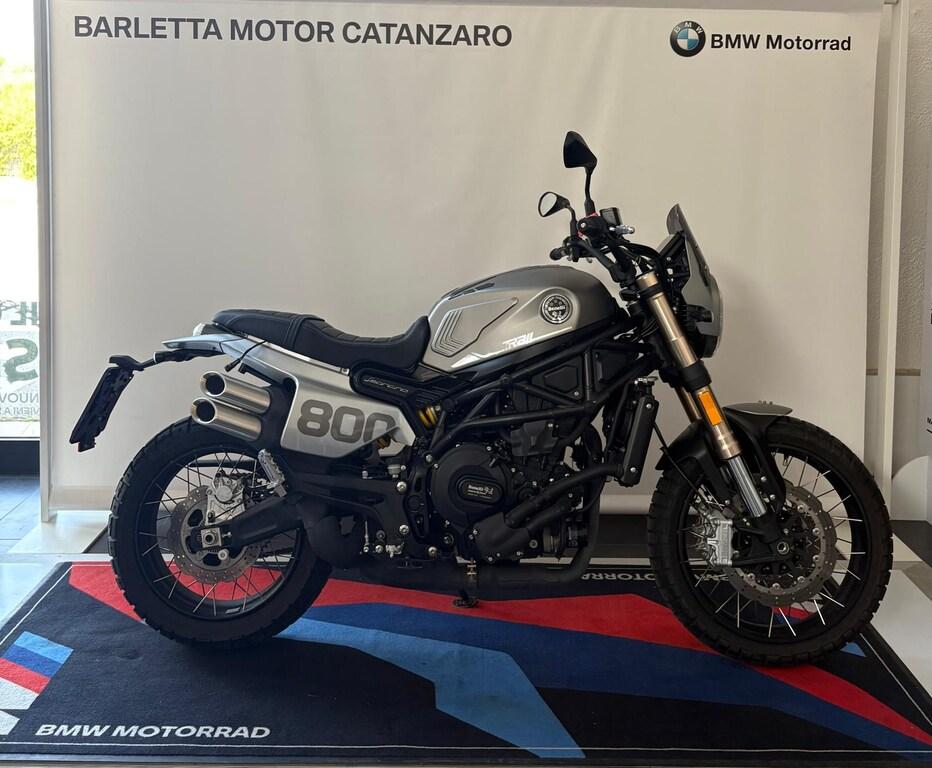 LEONCINO 500