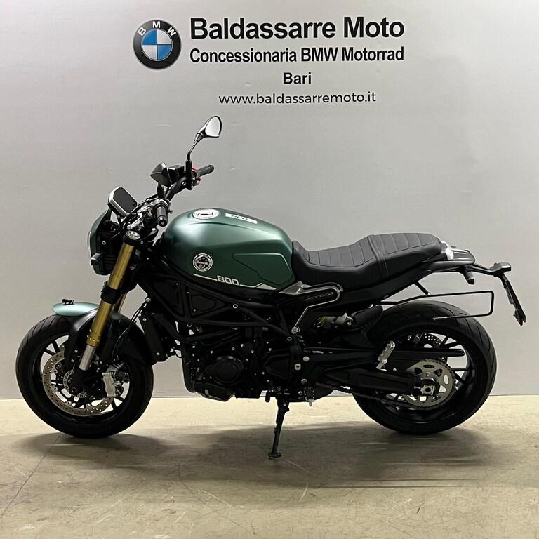 LEONCINO 500