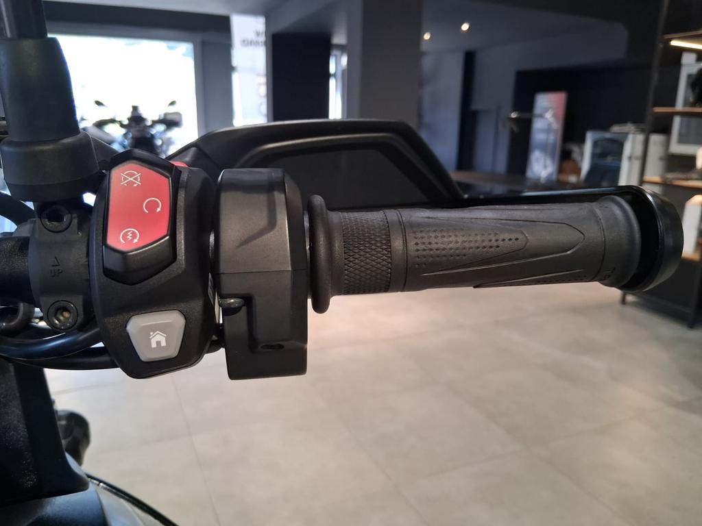 TIGER 900