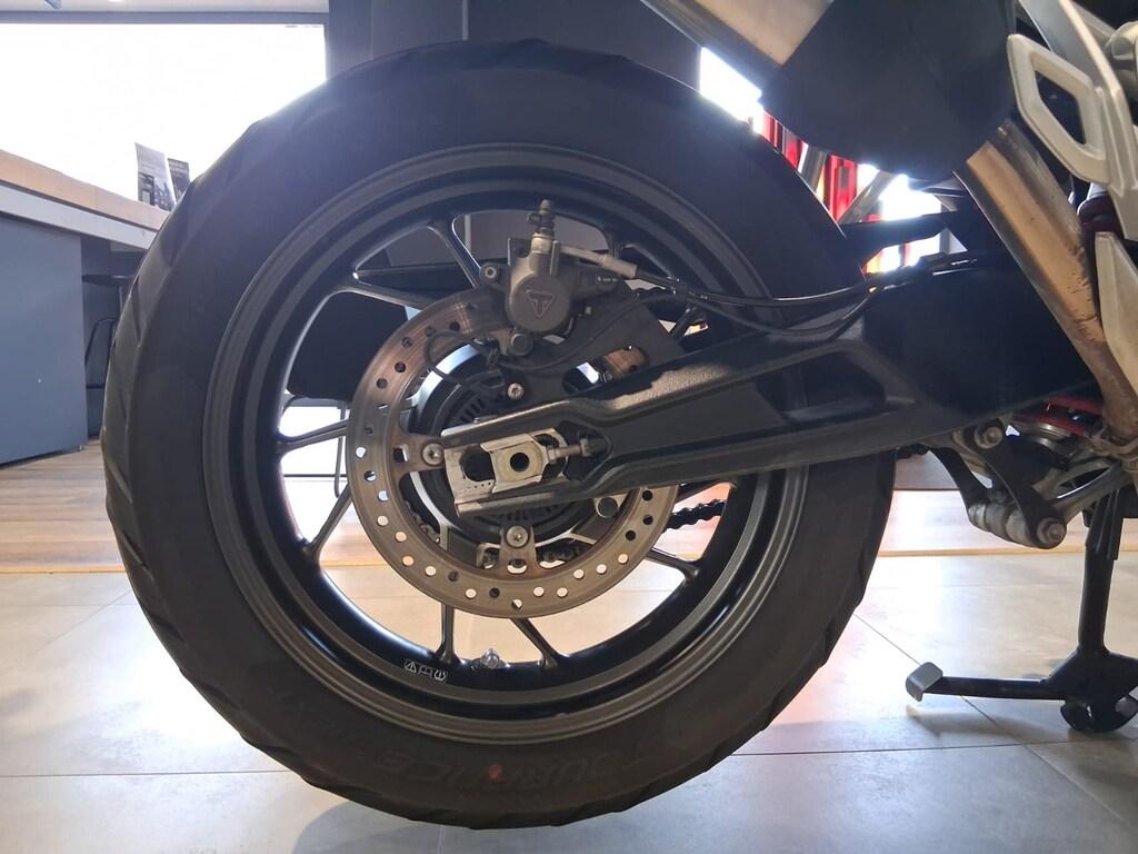 TIGER 900