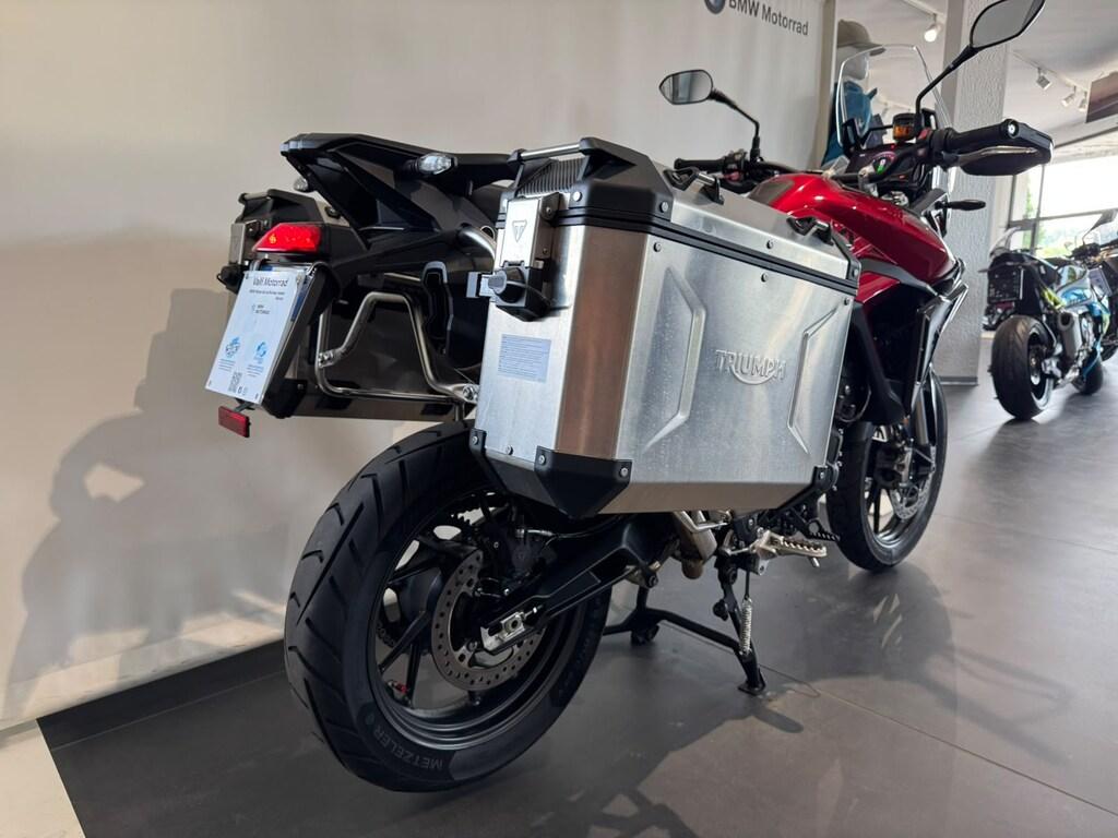 TIGER 900