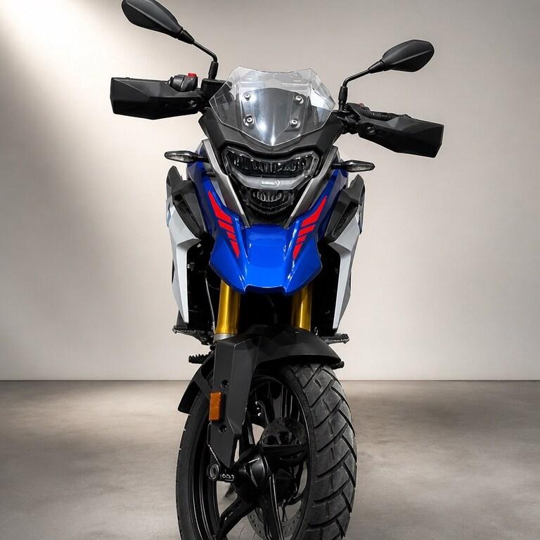G 310 GS