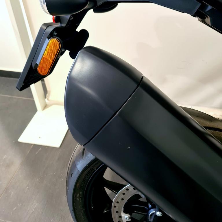 PAN AMERICA 1250
