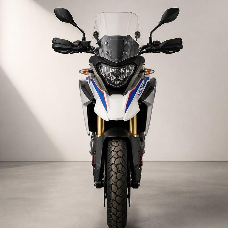 G 310 GS