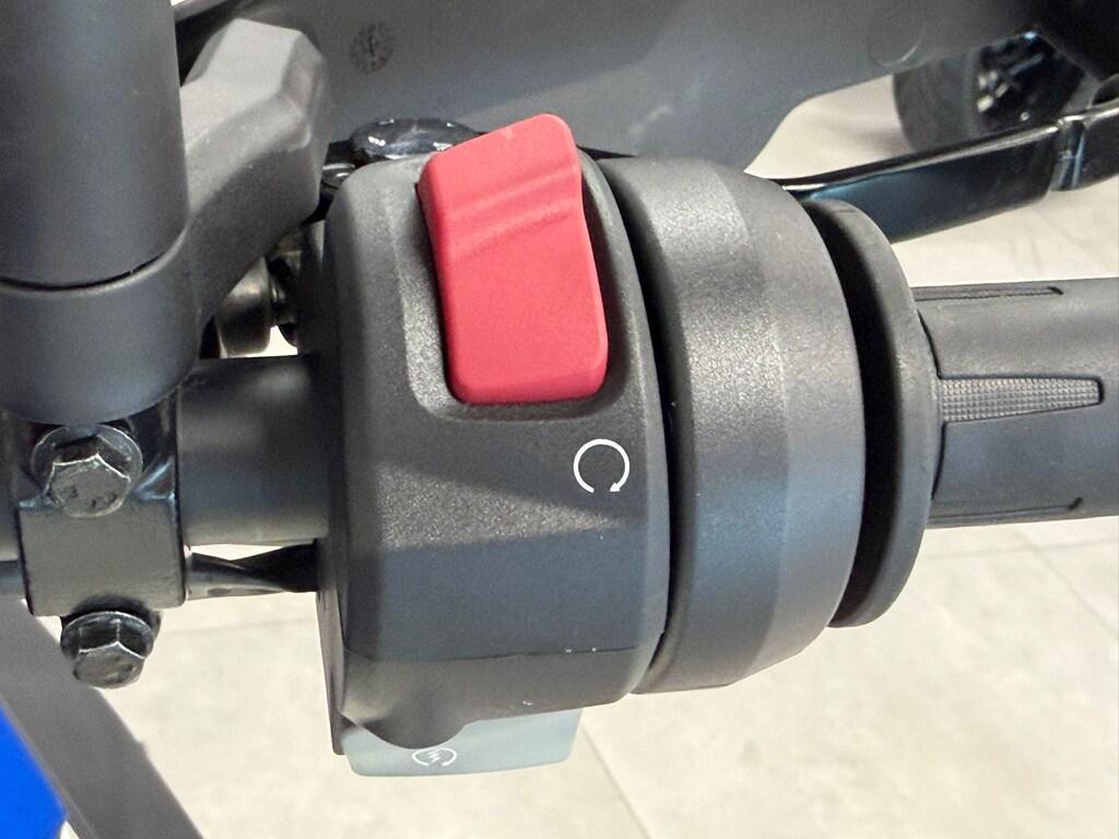 G 310 GS