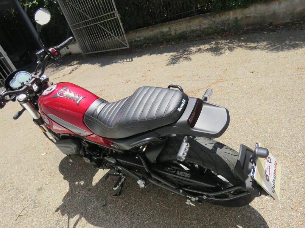 LEONCINO 500