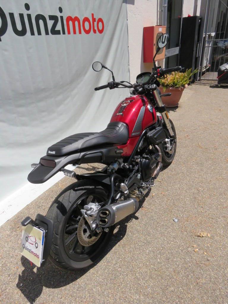 LEONCINO 500