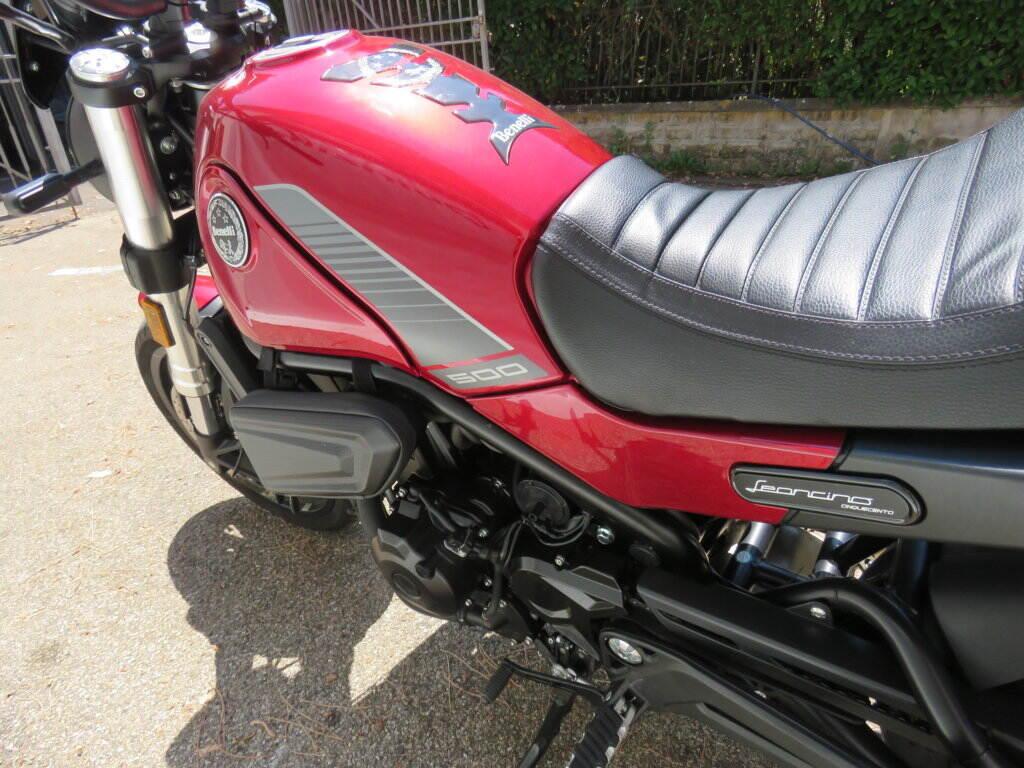 LEONCINO 500