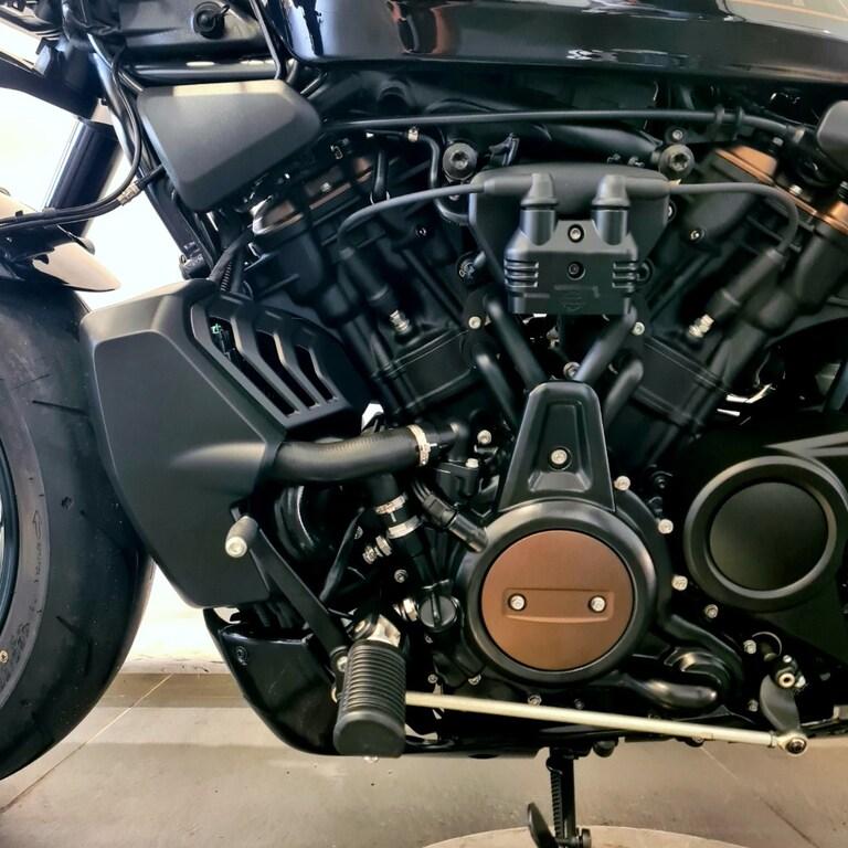 1250 SPORTSTER