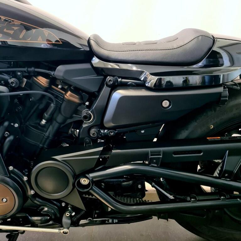 1250 SPORTSTER