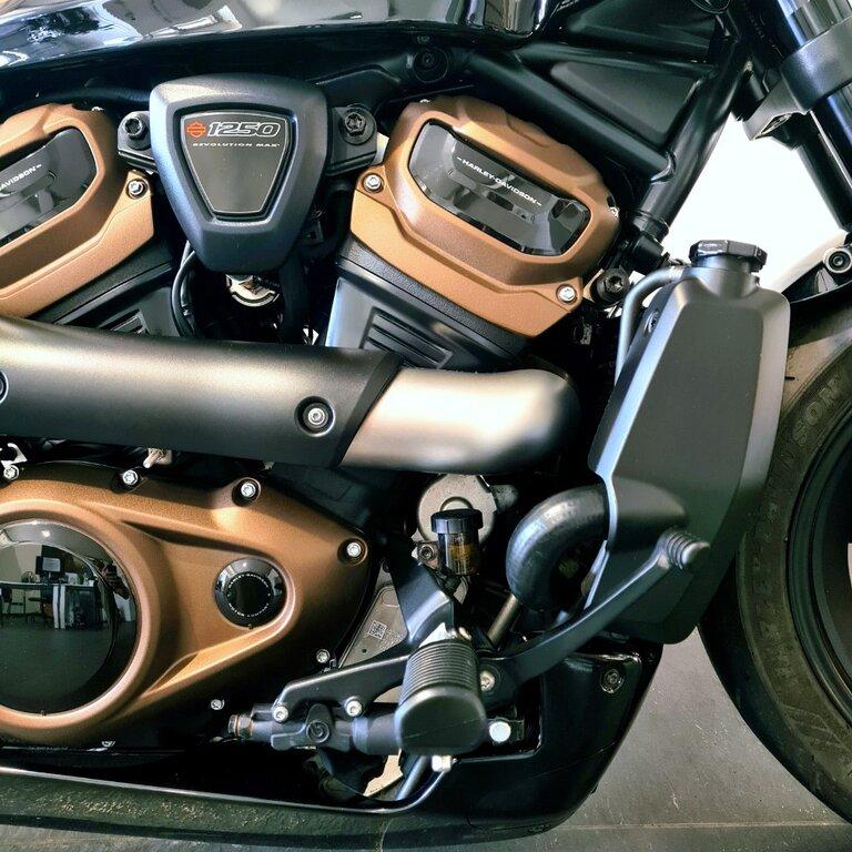 1250 SPORTSTER