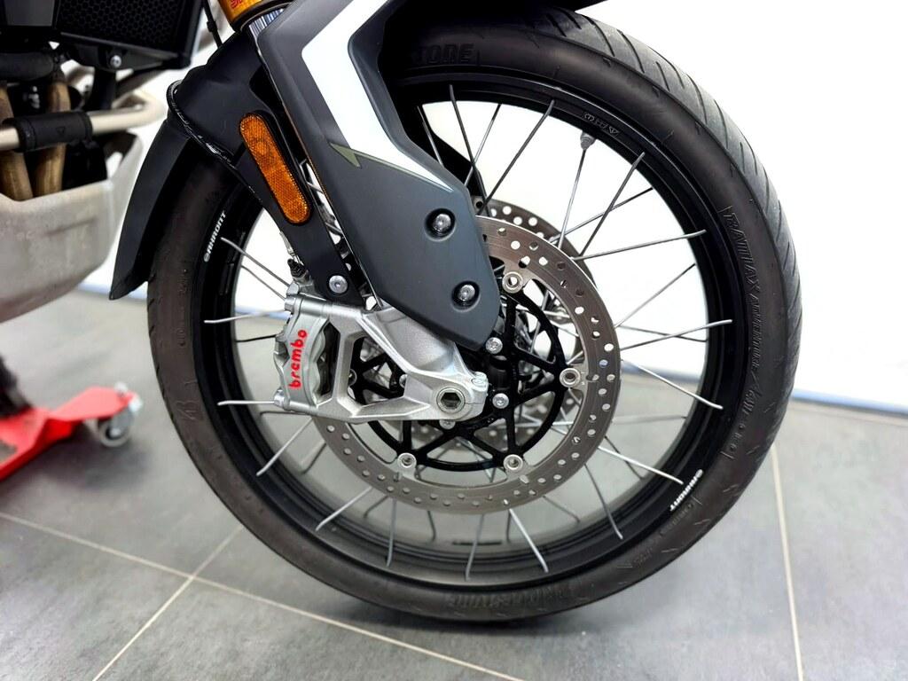 TIGER 900