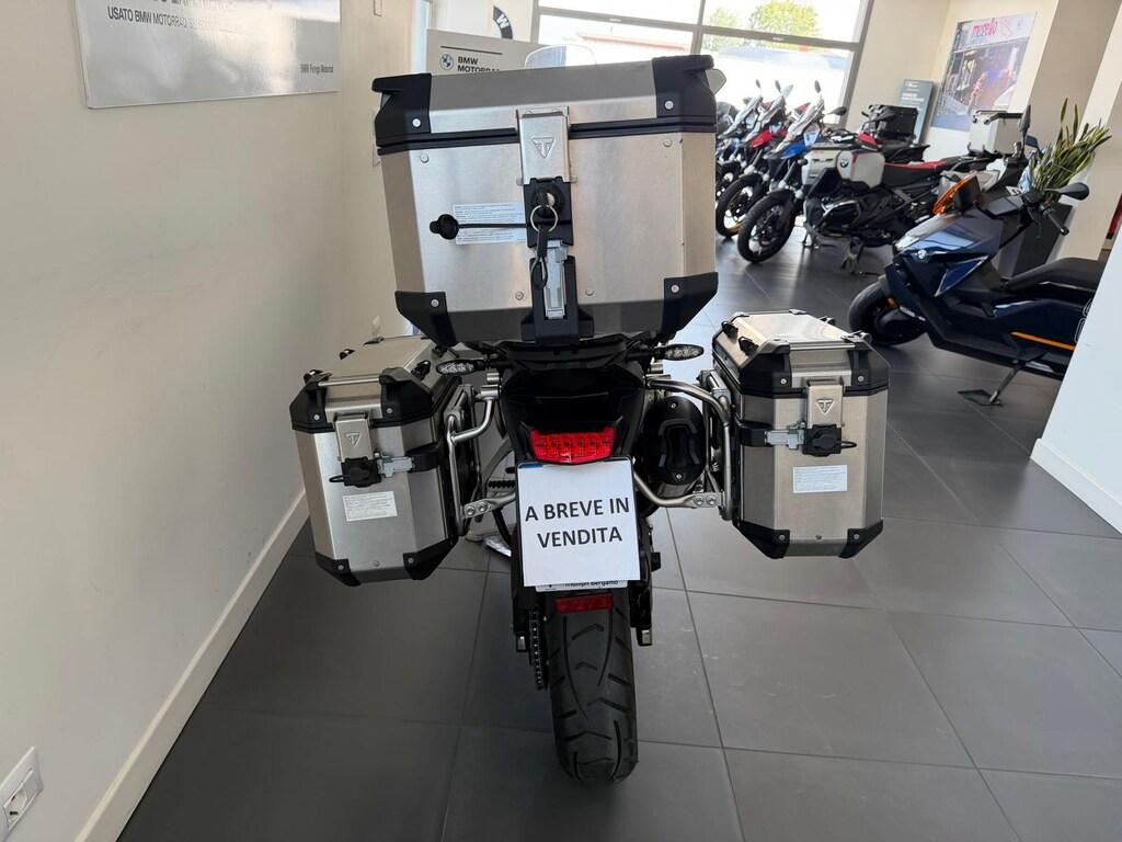 TIGER 900