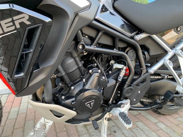 TIGER 900