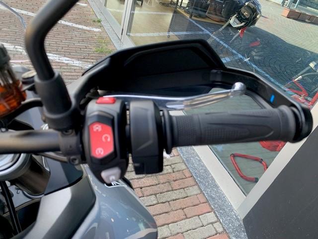 TIGER 900