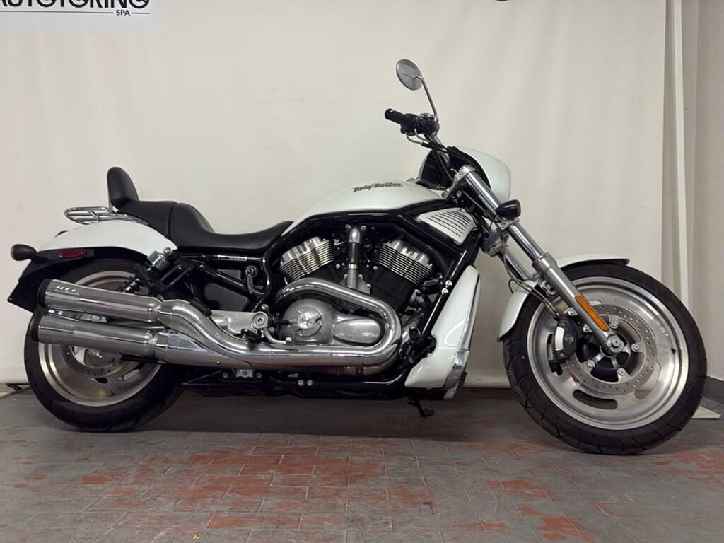V-ROD 1131