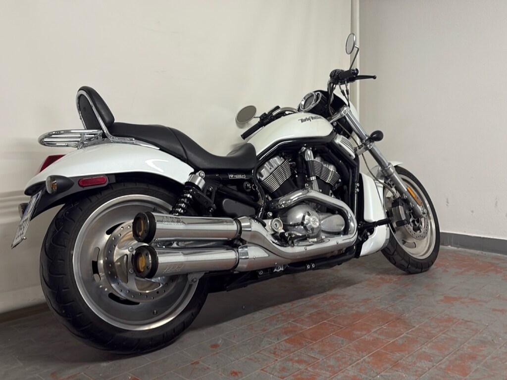 V-ROD 1131