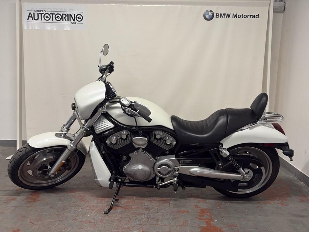 V-ROD 1131