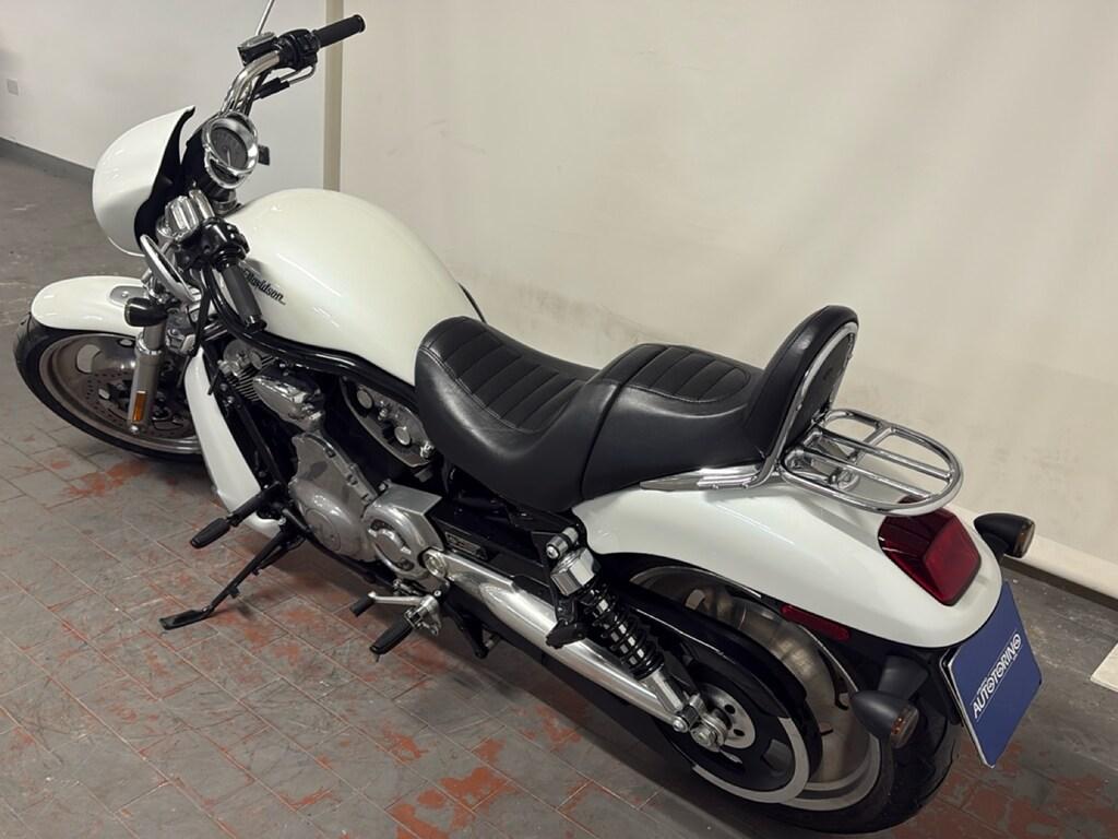 V-ROD 1131