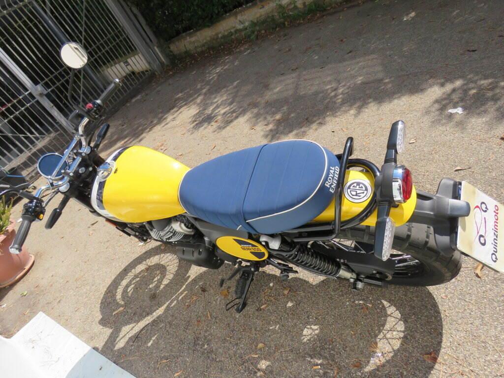 INTERCEPTOR BEAR 650