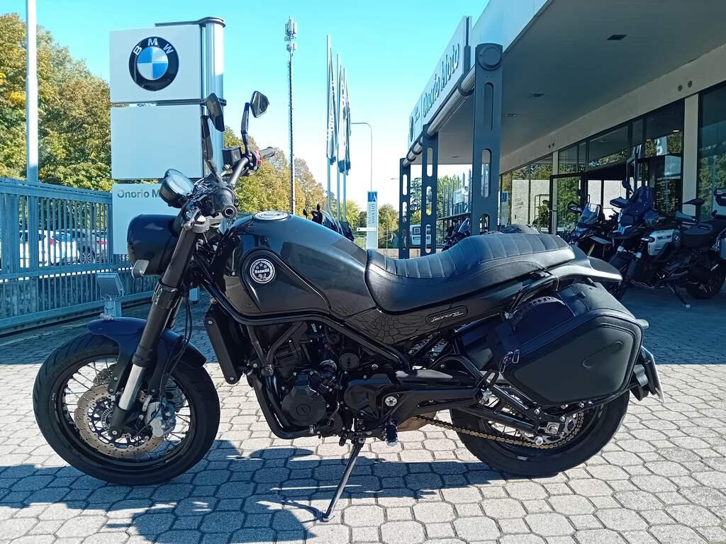 LEONCINO 500