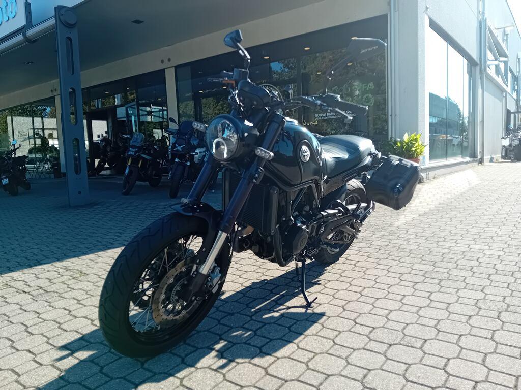 LEONCINO 500