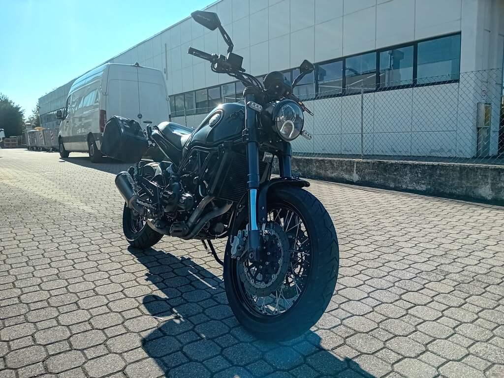 LEONCINO 500