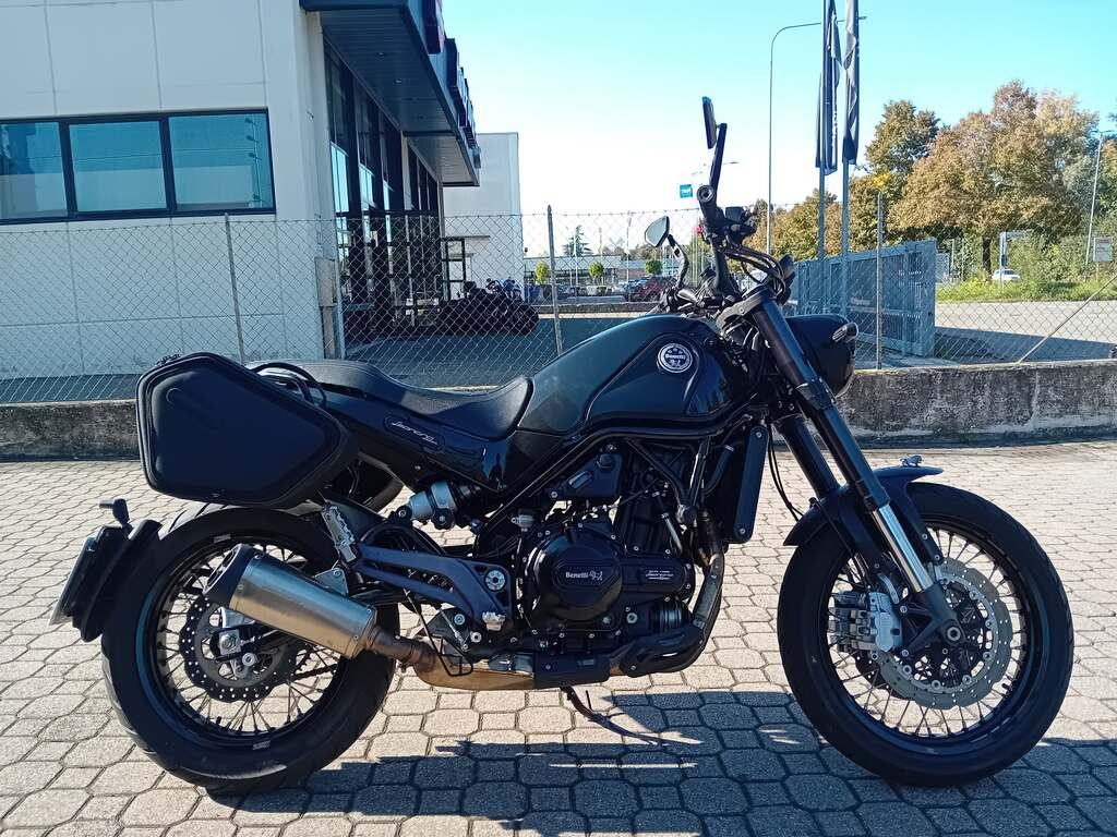 LEONCINO 500