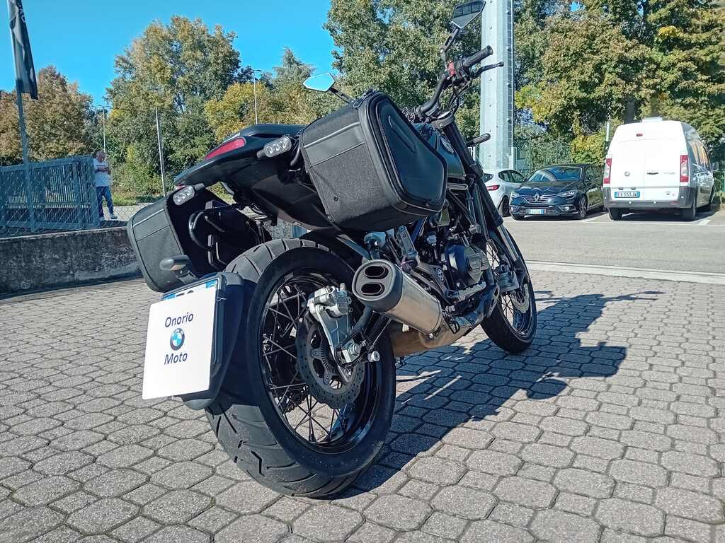 LEONCINO 500