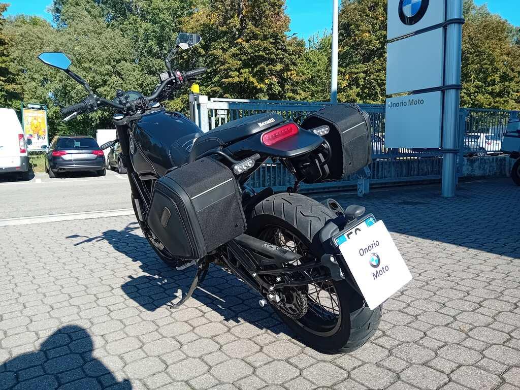 LEONCINO 500