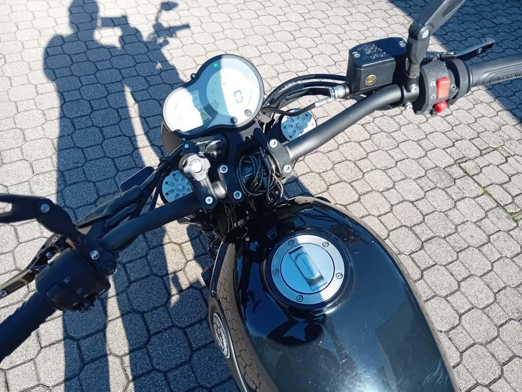 LEONCINO 500