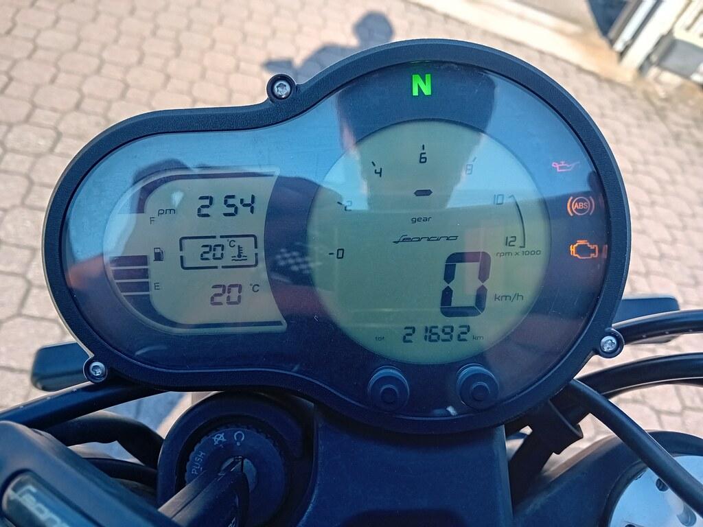 LEONCINO 500