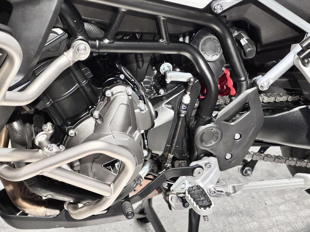 TIGER 900