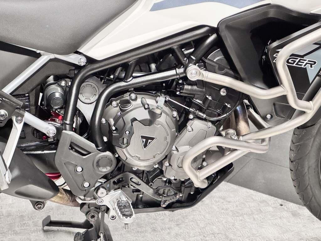 TIGER 900