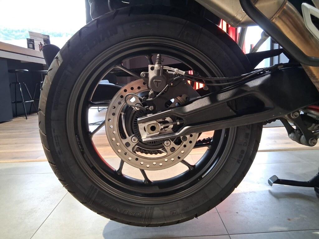TIGER 900