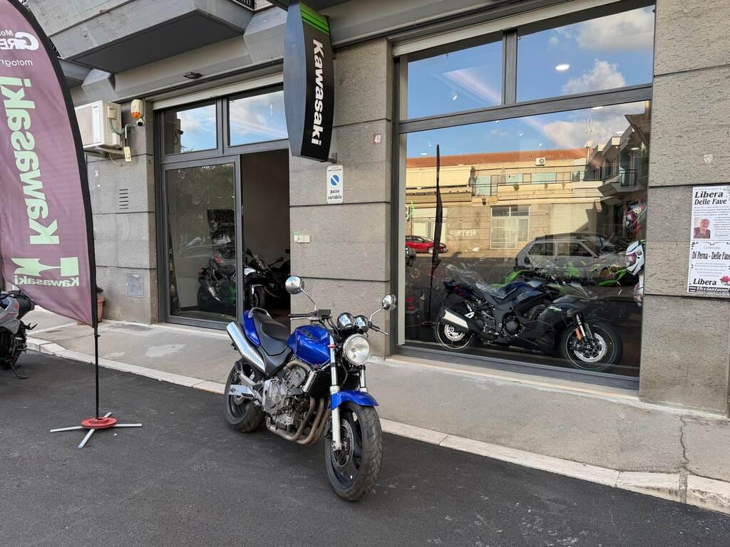 HORNET 600