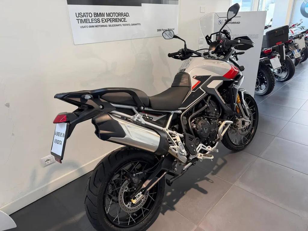 TIGER 900