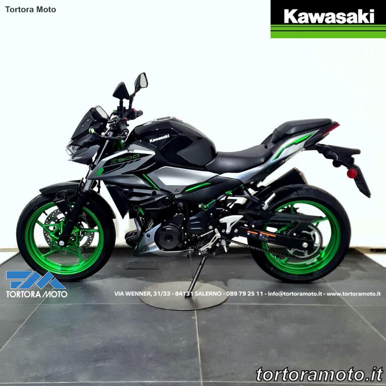 Z 500