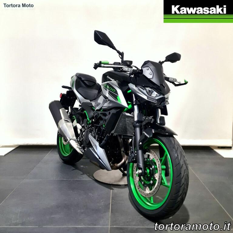Z 500