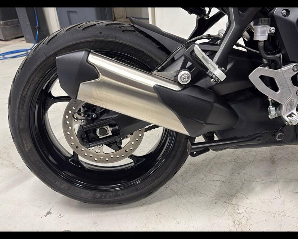TIGER 800