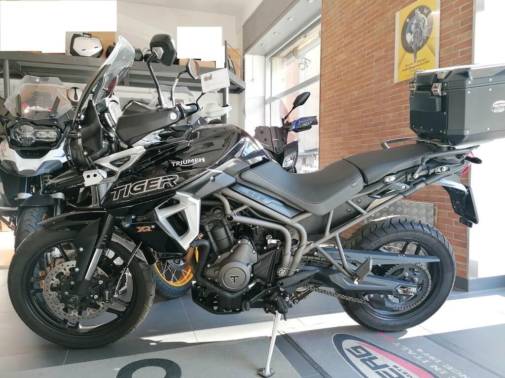 TIGER 800