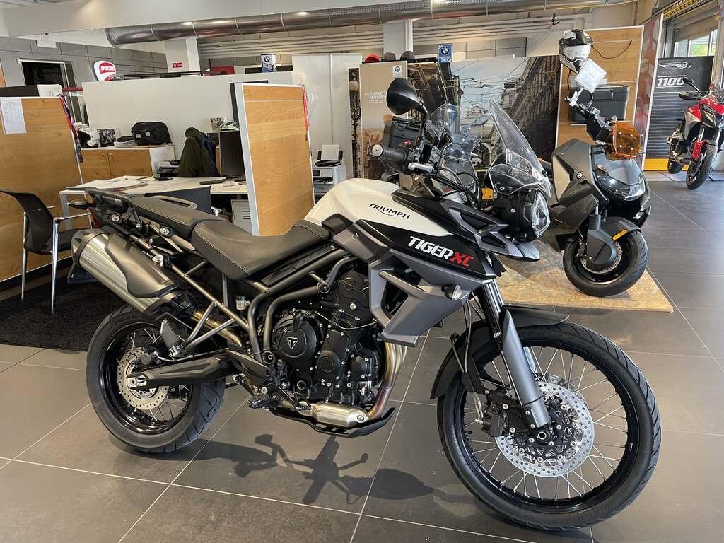 TIGER 800