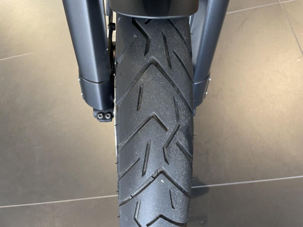 TIGER 800