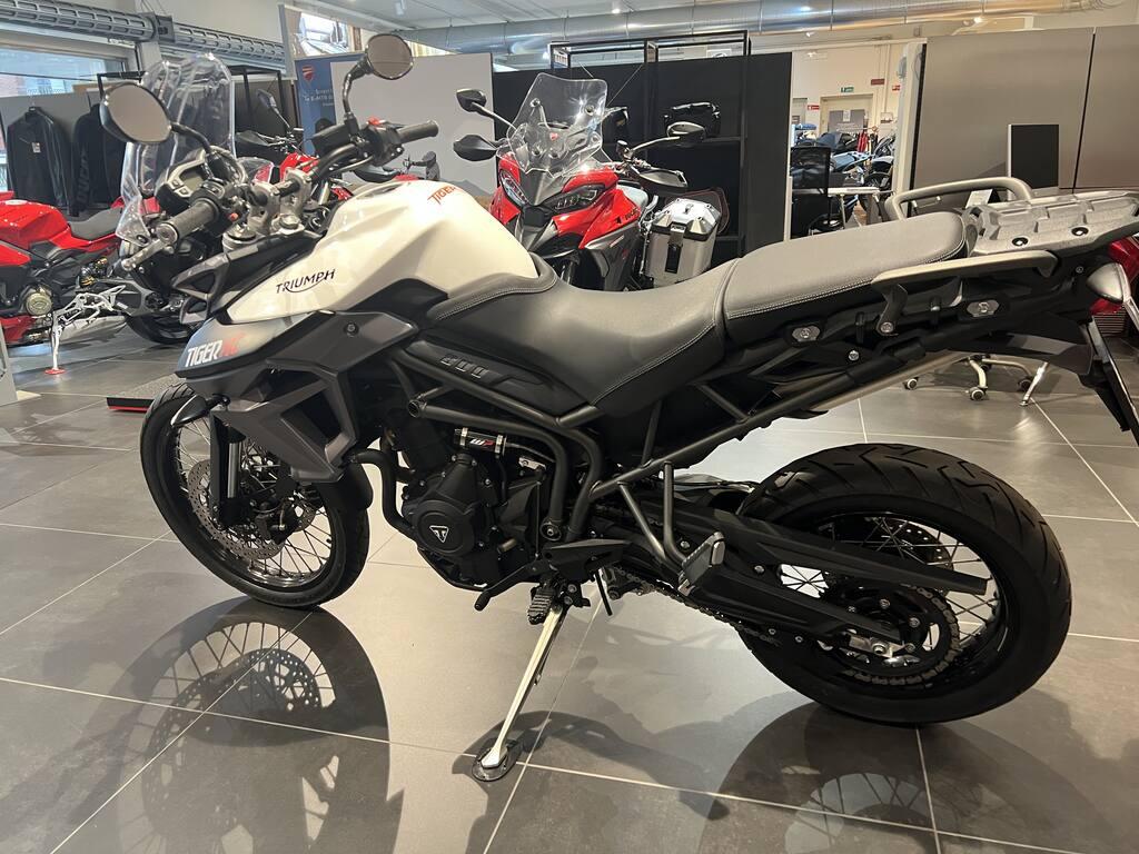 TIGER 800
