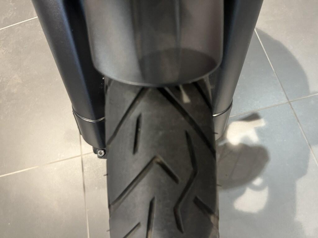 TIGER 800