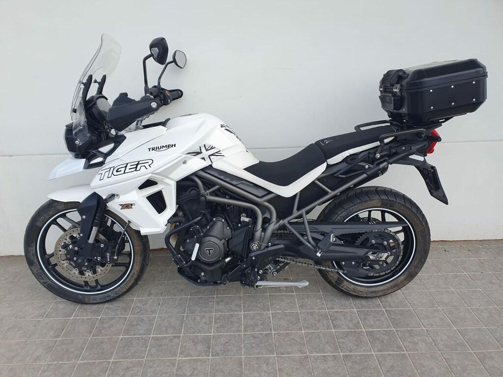 TIGER 800
