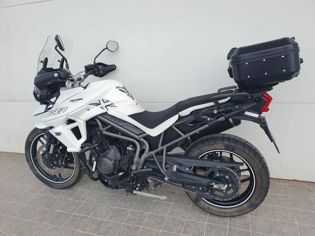TIGER 800