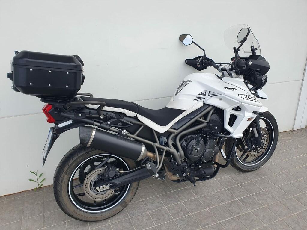 TIGER 800
